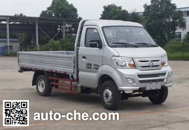 Sinotruk CDW Wangpai dual-fuel cargo truck CDW1030N1M5D