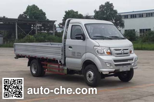 Sinotruk CDW Wangpai dual-fuel cargo truck CDW1031N2M5D