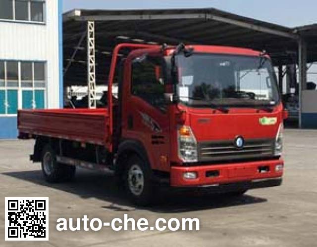 Sinotruk CDW Wangpai cargo truck CDW1080H1R5