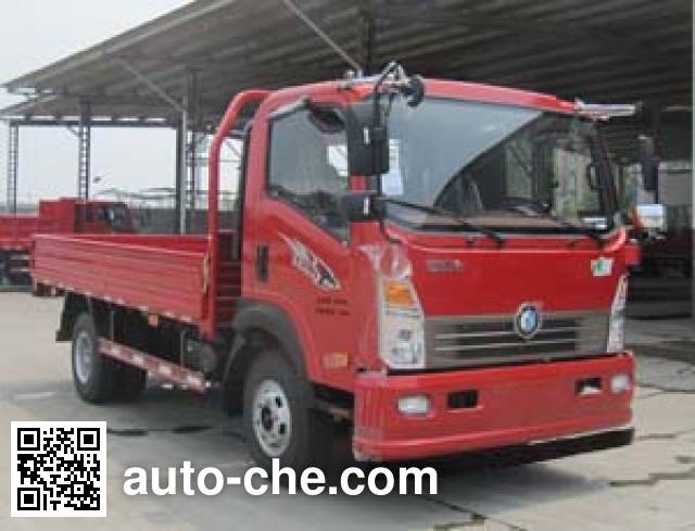 Sinotruk CDW Wangpai cargo truck CDW1090H1R5