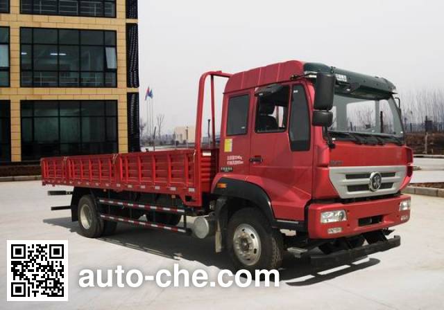 Sida Steyr cargo truck ZZ1161H521GD1