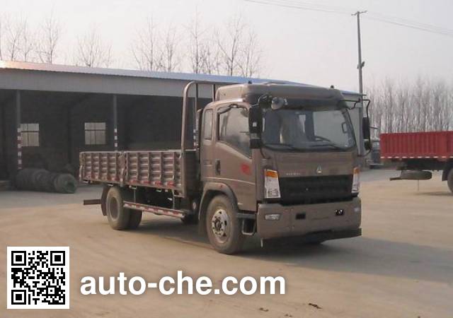 Sinotruk Howo cargo truck ZZ1167G451CE1