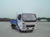 Sinotruk Howo cargo truck ZZ1047D3413D137