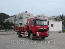 Homan cargo truck ZZ1168G10DB0